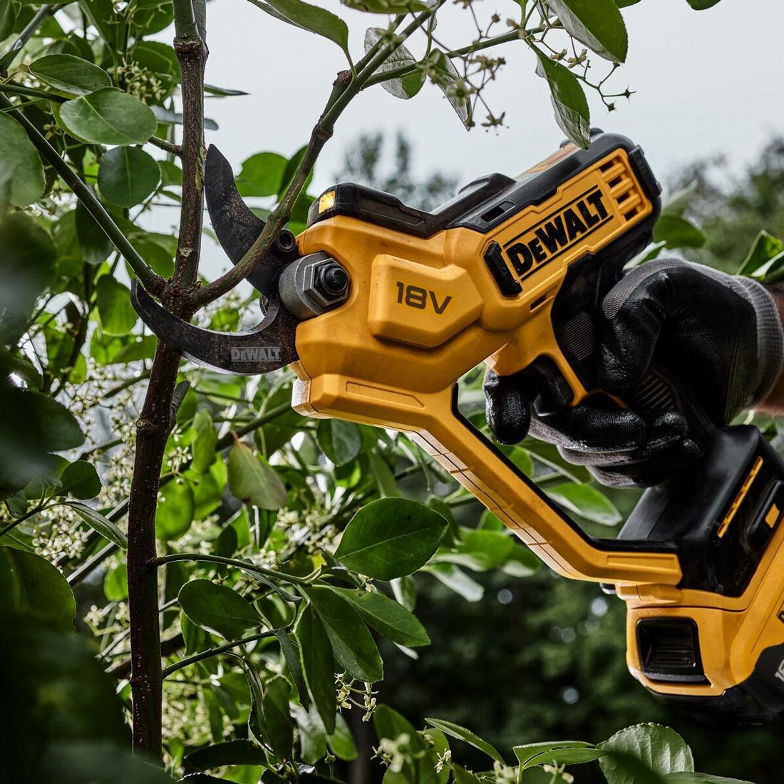 DeWalt DCMPP568P1 18v XR Akku 38mm Pruner inkl. 1x 5.0Ah Akku
